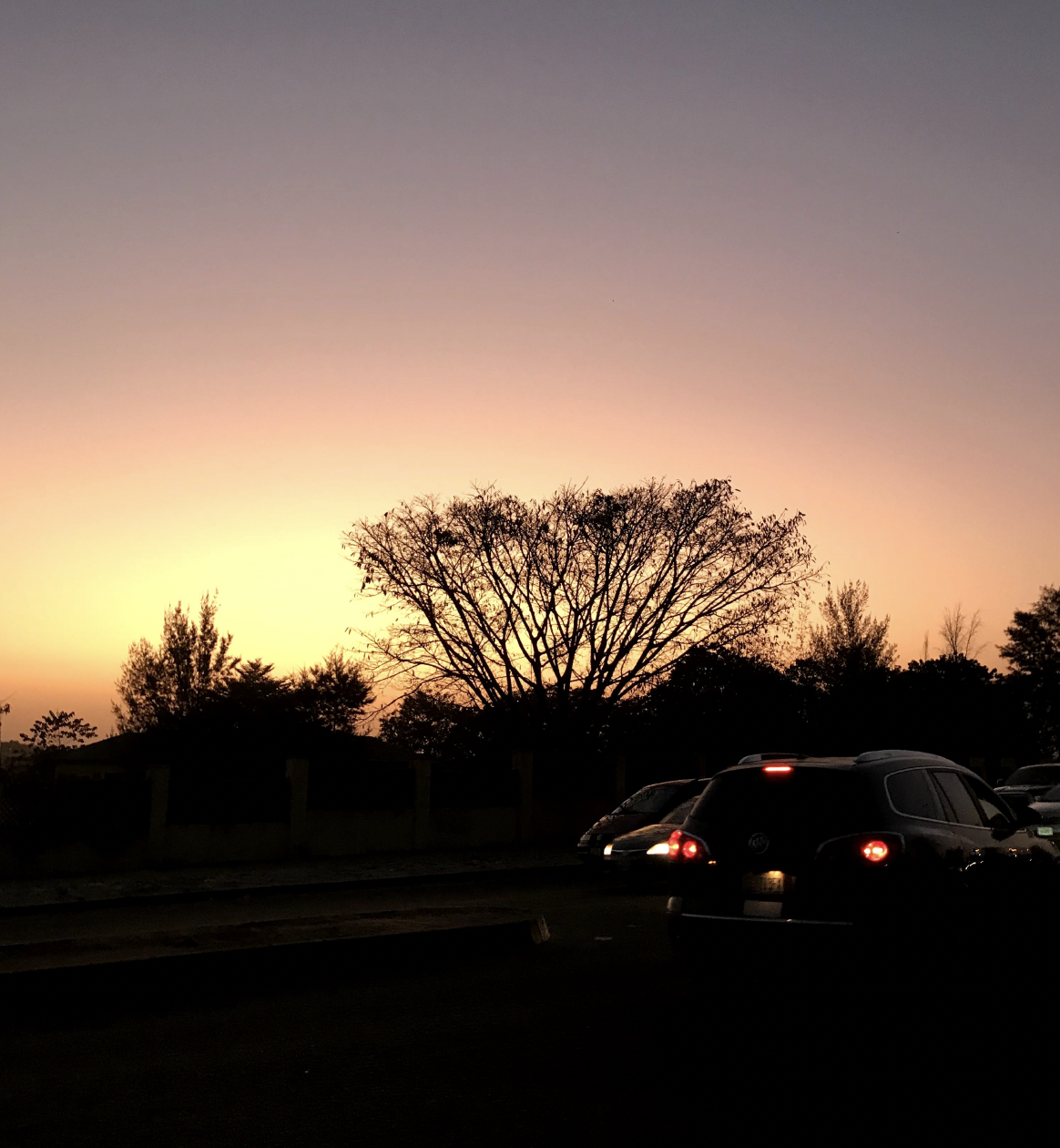 Odinaka 'Odi' Onuigbo